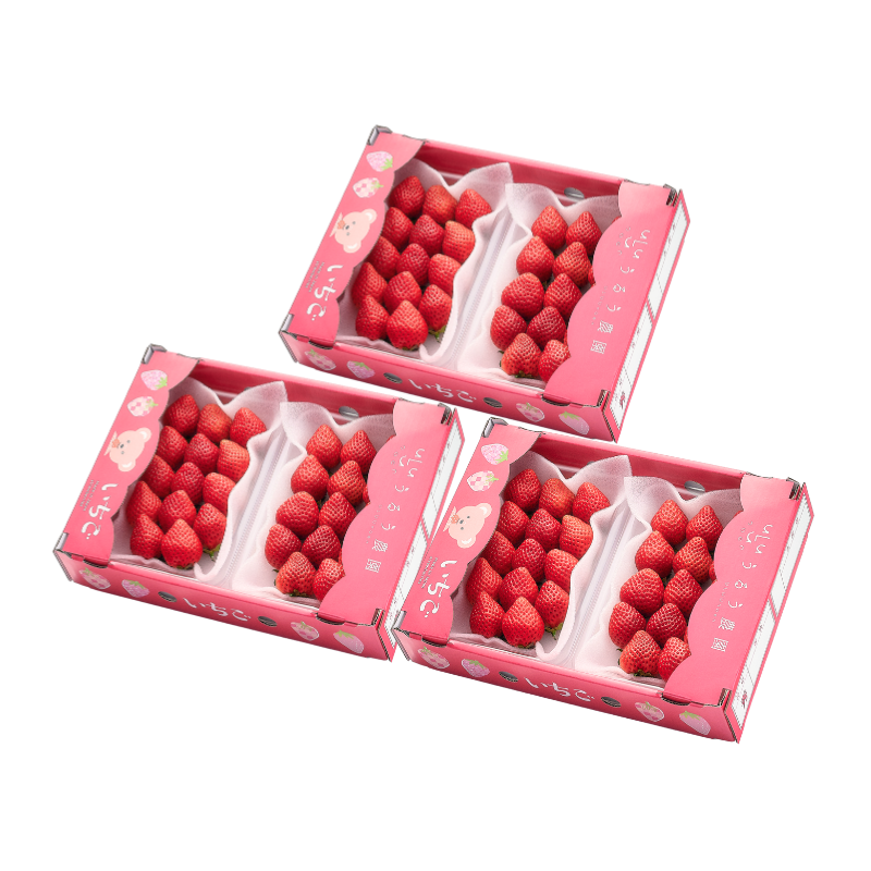 【予約販売 2026年12月1日～30日 順次発送予定】あまおう スタンダード 540g～2700g【送料無料】