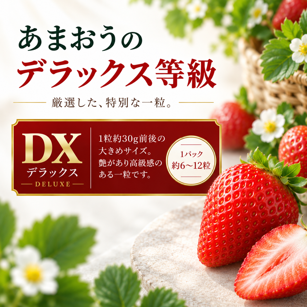 【予約販売 2026年12月1日～30日 順次発送予定】あまおう大福セット【送料無料】