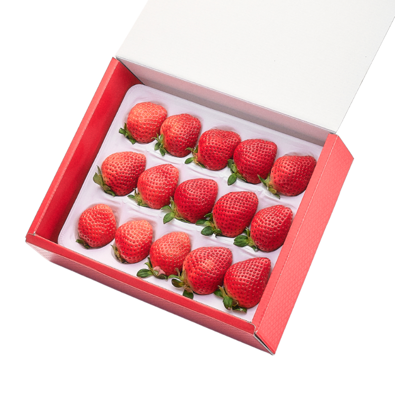 予約販売 2026年12月1日～30日 順次発送予定】特選あまおう400g～800g