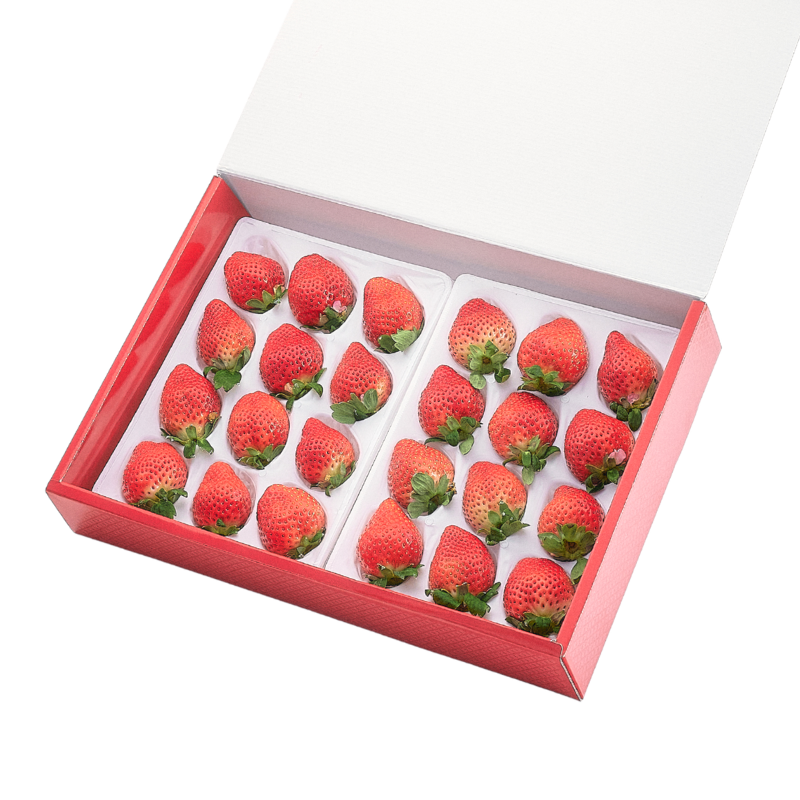 Special exhibition ex 400 g for gifts