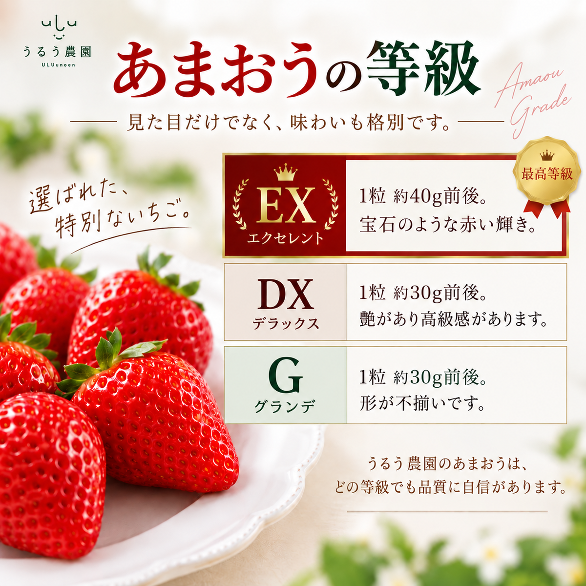 【予約販売 2026年12月1日～30日 順次発送予定】あまおういちご 重箱3段