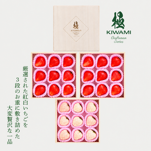【予約販売 2026年12月1日～30日 順次発送予定】紅白いちご 重箱3段