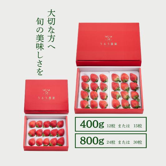 【予約販売 2026年12月1日～30日 順次発送予定】特選あまおう400g～800g【送料無料】