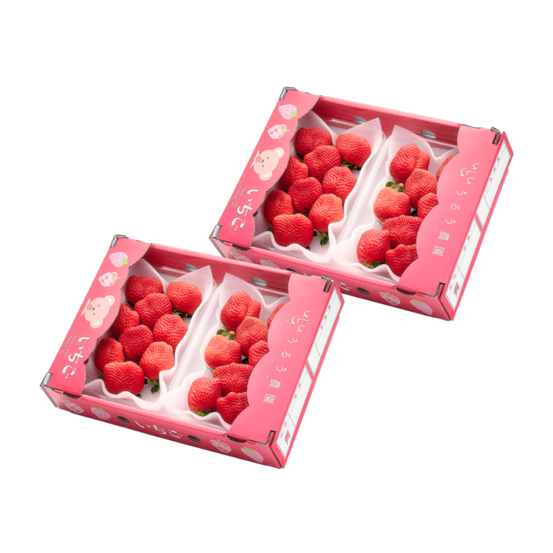 【予約販売 2026年12月1日～30日 順次発送予定】あまおう サイズ色々 540g～2700g【送料無料】