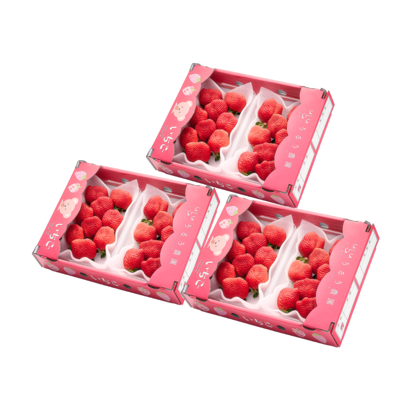 【予約販売 2026年12月1日～30日 順次発送予定】あまおう サイズ色々 540g～2700g【送料無料】