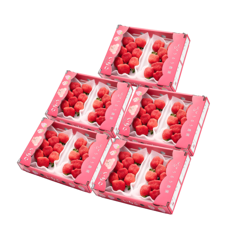 【予約販売 2026年12月1日～30日 順次発送予定】あまおう サイズ色々 540g～2700g【送料無料】