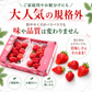 【予約販売 2026年11月中旬～順次発送予定】あまおう サイズ色々約540g～2700g【送料無料】