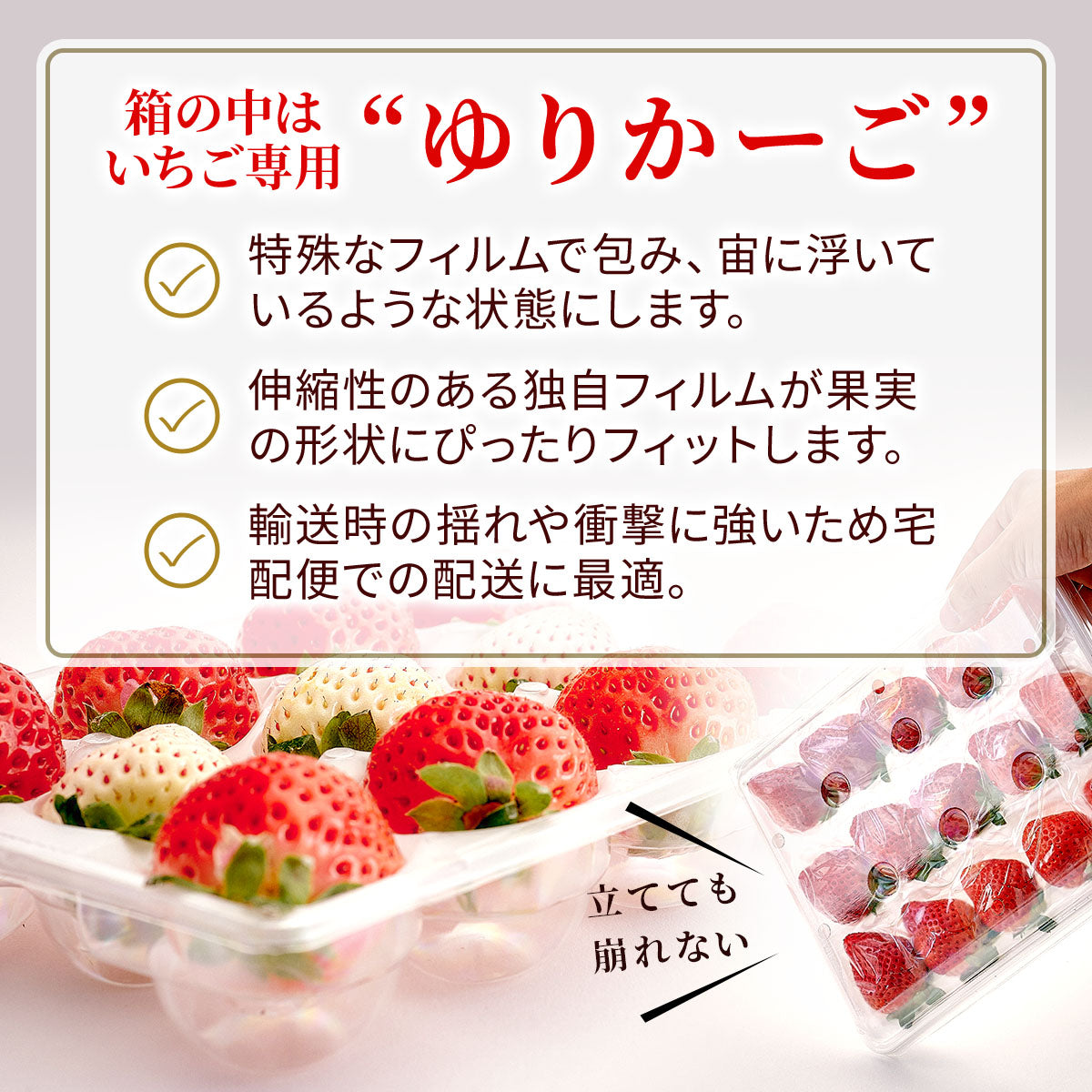 特展前400g下的礼品