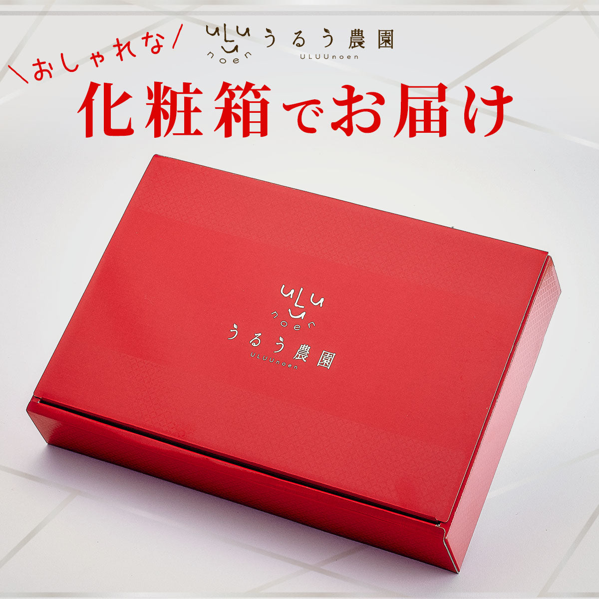 特展前400g下的礼品