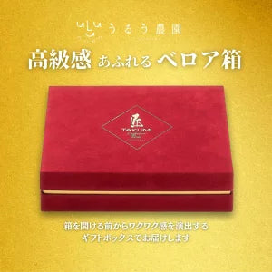 【予約販売 2026年12月1日～30日 順次発送予定】プレミアム極上紅白あまおう400g【送料無料】