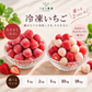 【予約販売 2027年1月中旬～ 順次発送予定】冷凍あまおう 赤いちご 白いちご 紅白いちご 1キロ～18キロ【送料無料】