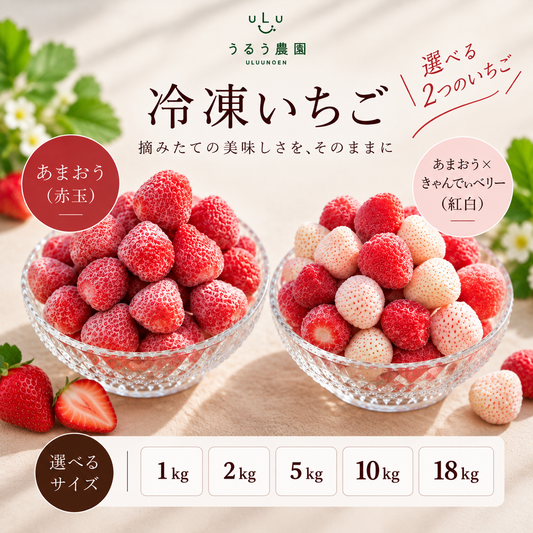 【予約販売 2027年1月中旬～ 順次発送予定】冷凍あまおう 赤いちご 白いちご 紅白いちご 1キロ～18キロ【送料無料】