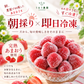 【予約販売 2027年1月中旬～ 順次発送予定】冷凍あまおう 赤いちご 白いちご 紅白いちご 1キロ～18キロ【送料無料】