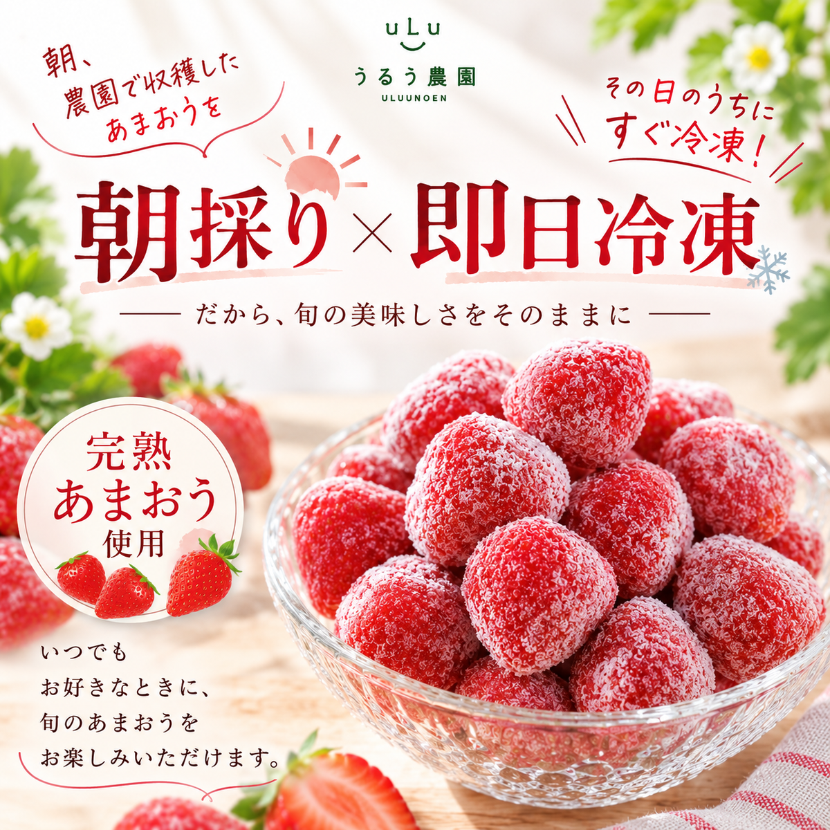 【予約販売 2027年1月中旬～ 順次発送予定】冷凍あまおう 赤いちご 白いちご 紅白いちご 1キロ～18キロ【送料無料】