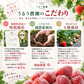 【予約販売 2027年1月中旬～ 順次発送予定】冷凍あまおう 赤いちご 白いちご 紅白いちご 1キロ～18キロ【送料無料】