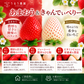 【予約販売 2027年1月中旬～ 順次発送予定】冷凍あまおう 赤いちご 白いちご 紅白いちご 1キロ～18キロ【送料無料】