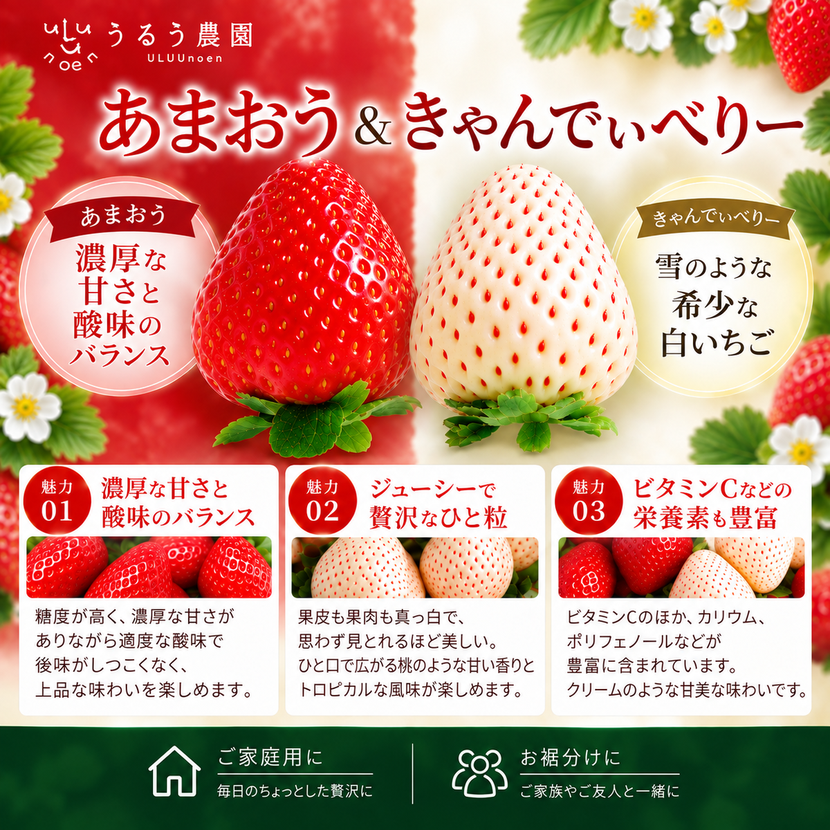 【予約販売 2027年1月中旬～ 順次発送予定】冷凍あまおう 赤いちご 白いちご 紅白いちご 1キロ～18キロ【送料無料】