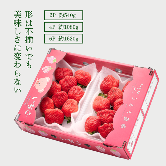 【予約販売 2026年12月1日～30日 順次発送予定】あまおう サイズ色々 540g～2700g【送料無料】