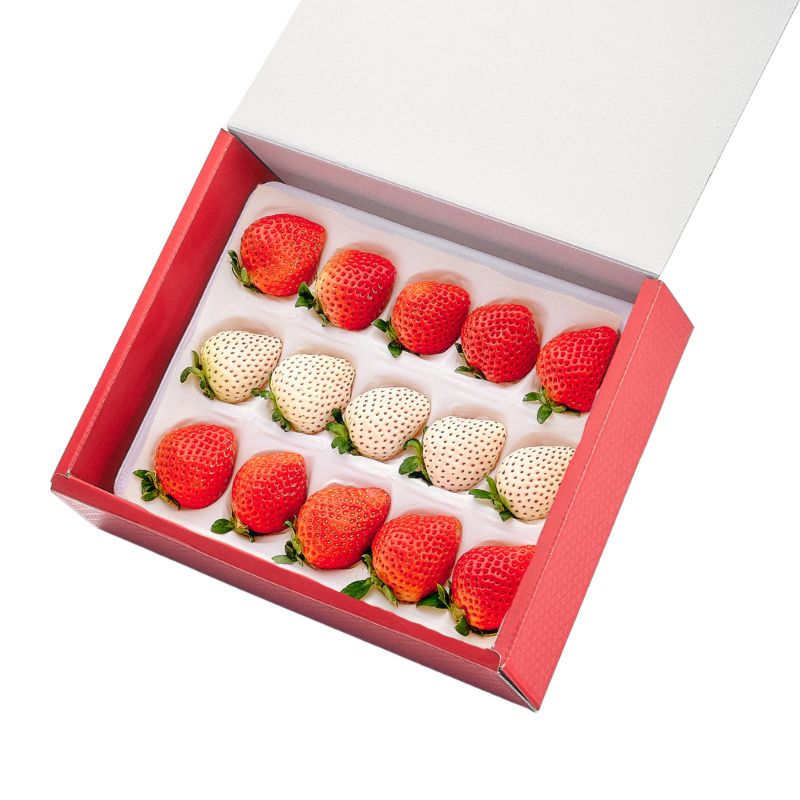Special exhibition ex 400 g for gifts