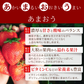 【レジにて500円引きセール実施中!!】冷凍あまおう 赤いちご 白いちご 紅白いちご 1キロ～18キロ【送料無料】