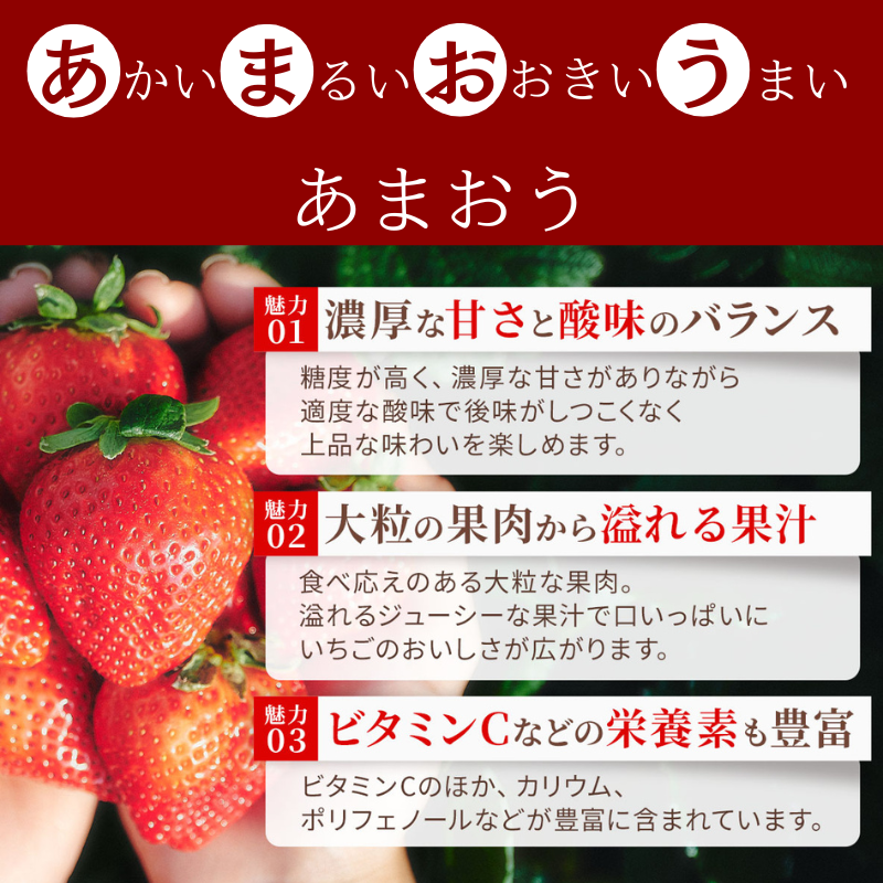 【レジにて500円引きセール実施中!!】冷凍あまおう 赤いちご 白いちご 紅白いちご 1キロ～18キロ【送料無料】