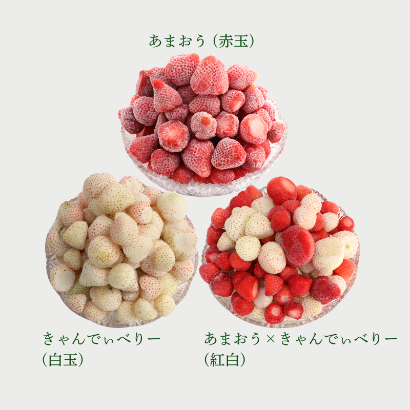 【レジにて500円引きセール実施中!!】冷凍あまおう 赤いちご 白いちご 紅白いちご 1キロ～18キロ【送料無料】