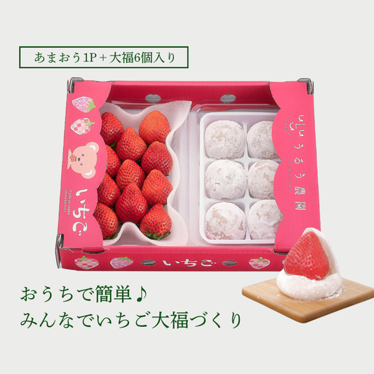 【予約販売 2026年12月1日～30日 順次発送予定】あまおう大福セット【送料無料】