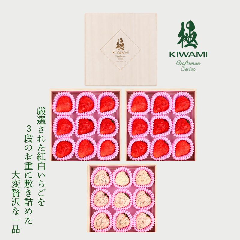 【予約販売 2026年12月1日～30日 順次発送予定】紅白いちご 重箱3段