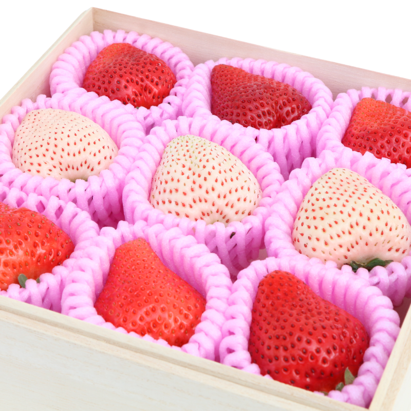 【予約販売 2026年12月1日～30日 順次発送予定】 紅白いちご 重箱1段