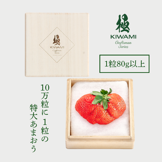 【予約販売 2026年12月1日～30日 順次発送予定】特大あまおう苺「極」【送料無料】