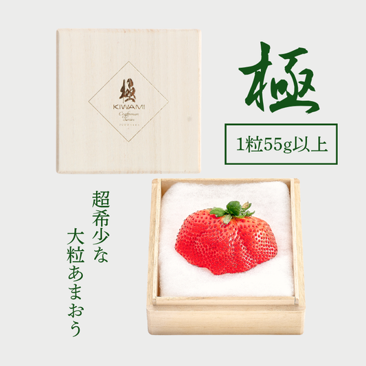 【予約販売 2026年12月1日～30日 順次発送予定】大粒あまおう苺「極」【送料無料】
