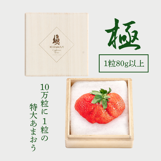 【予約販売 2026年12月1日～30日 順次発送予定】特大あまおう苺「極」【送料無料】