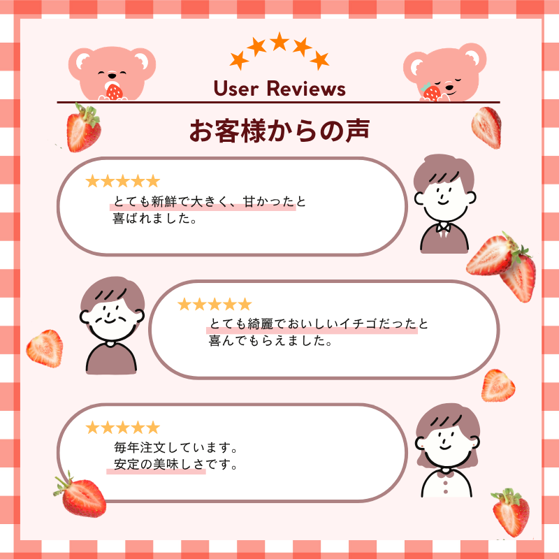 【予約販売 2026年12月1日～30日 順次発送予定】あまおう スタンダード 540g～2700g【送料無料】