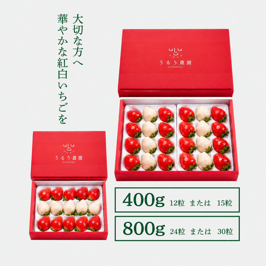 特展前400g下的礼品