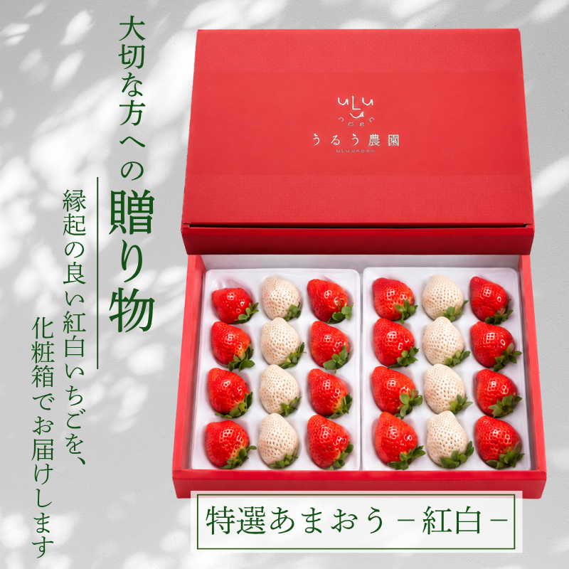 特展前400g下的礼品