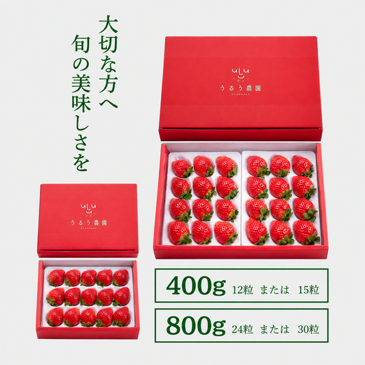【予約販売 2026年12月1日～30日 順次発送予定】特選あまおう400g～800g【送料無料】