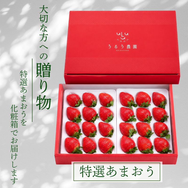 特展前400g下的礼品
