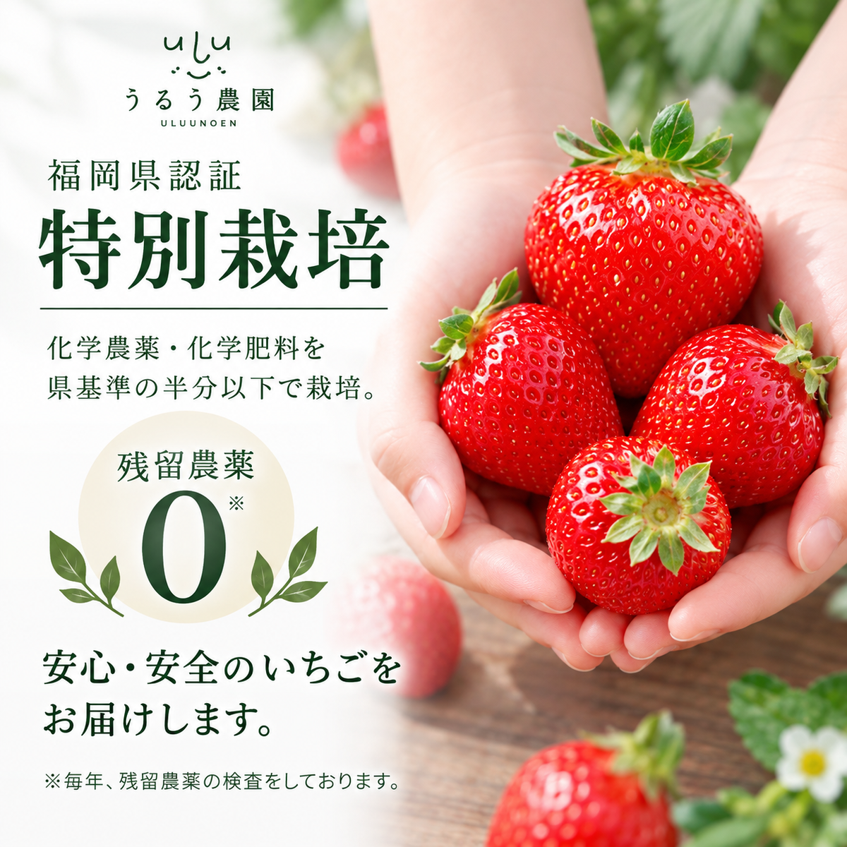 特展前400g下的礼品