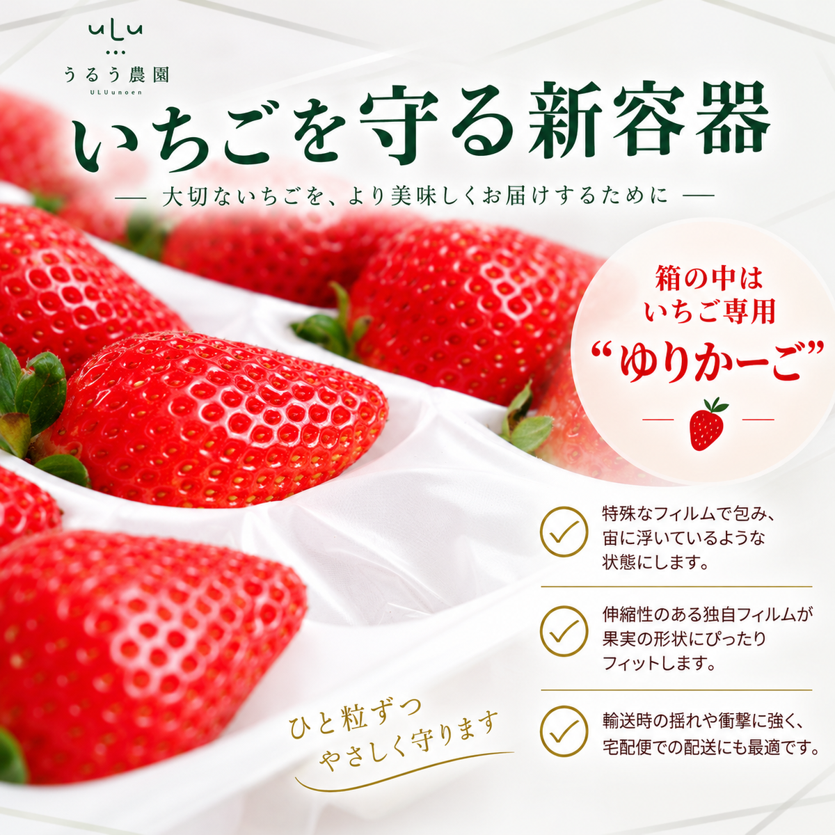 特展前400g下的礼品