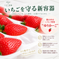 【予約販売 2026年12月1日～30日 順次発送予定】 紅白いちご 重箱1段