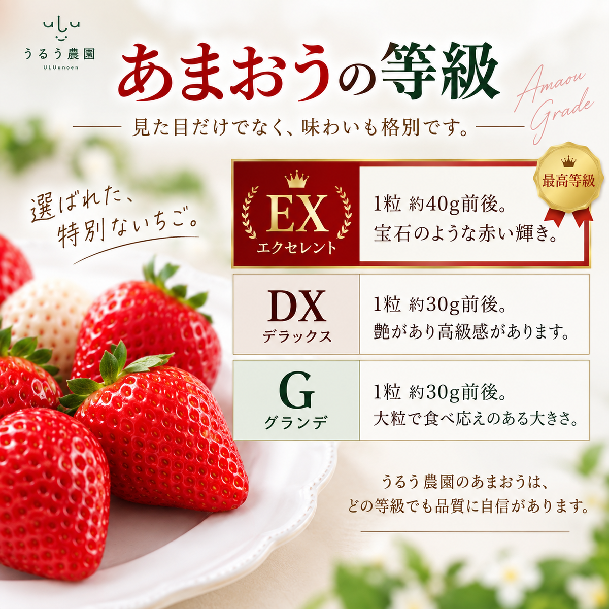 【予約販売 2026年12月1日～30日 順次発送予定】特選あまおう400g～800g【送料無料】