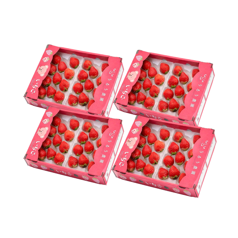 【予約販売 2026年12月1日～30日 順次発送予定】うるべりー きゃんでぃーべりー220g 440g～2200g【送料無料】
