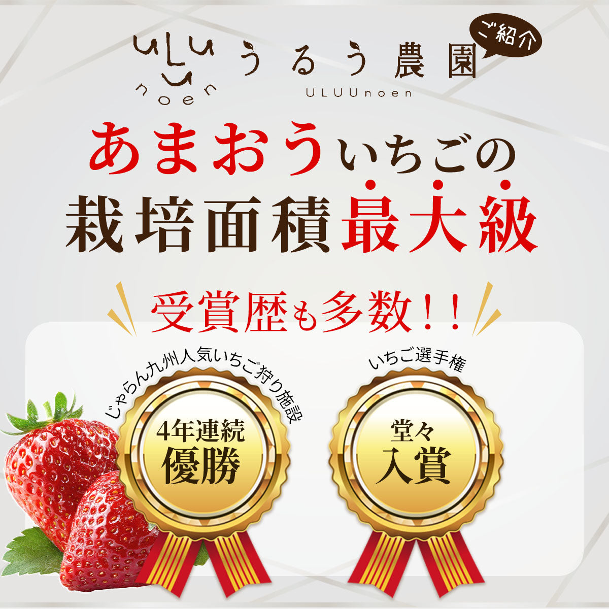うるべりー きゃんでぃーべりー220g 440g～2200g【送料無料】