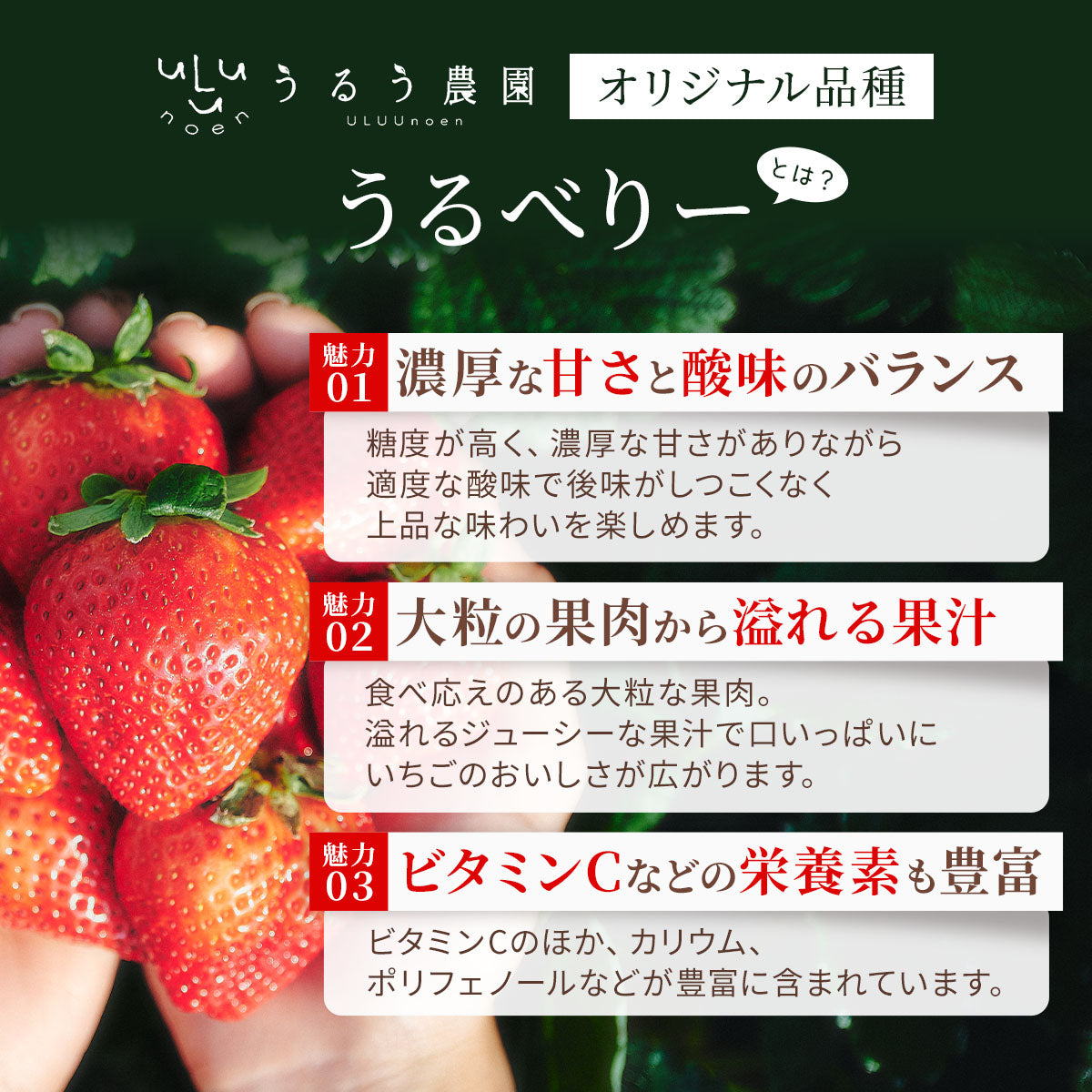 うるべりー きゃんでぃーべりー220g 440g～2200g【送料無料】