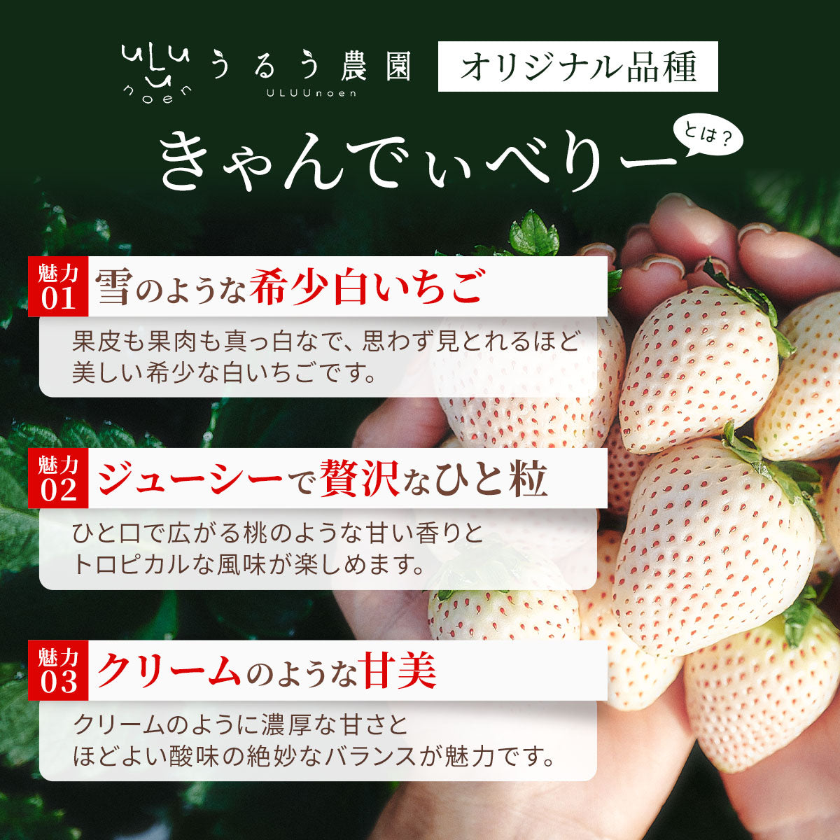 うるべりー きゃんでぃーべりー220g 440g～2200g【送料無料】