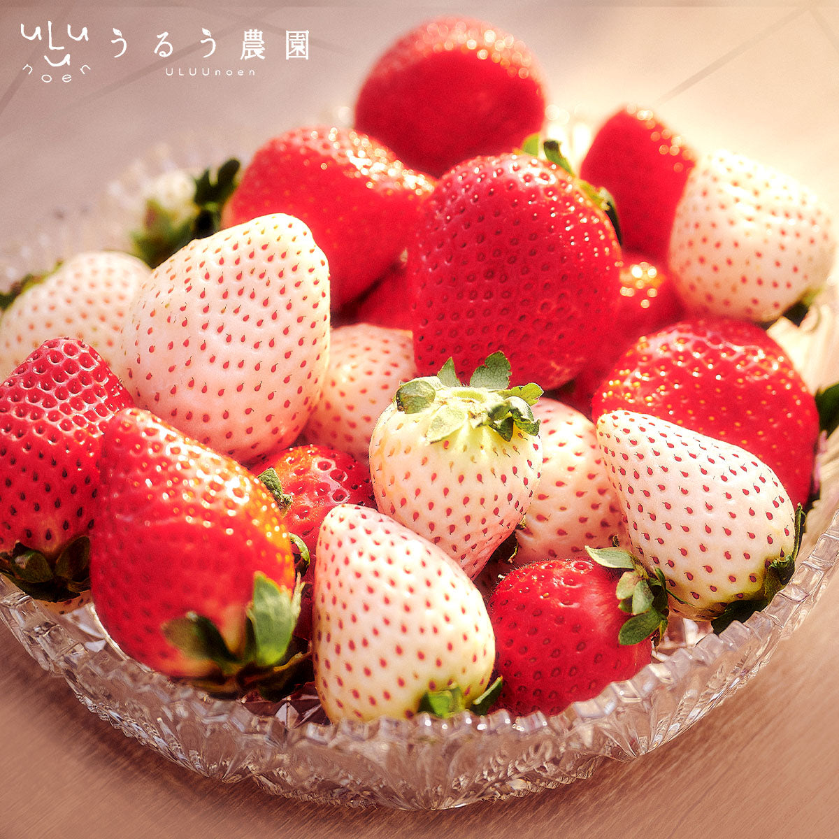 うるべりー きゃんでぃーべりー220g 440g～2200g【送料無料】