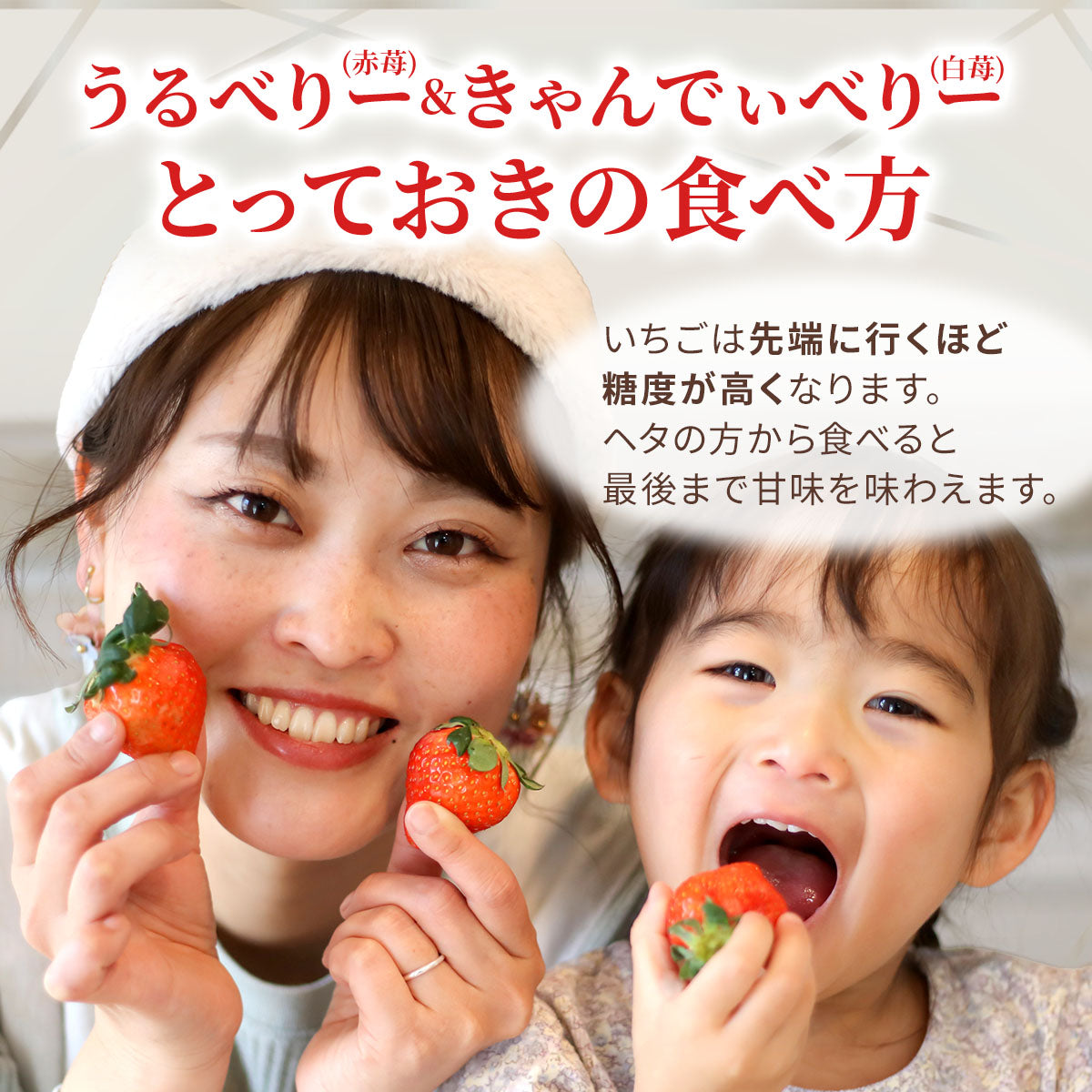 予約販売 2026年12月1日～30日 順次発送予定】うるべりー きゃんでぃー