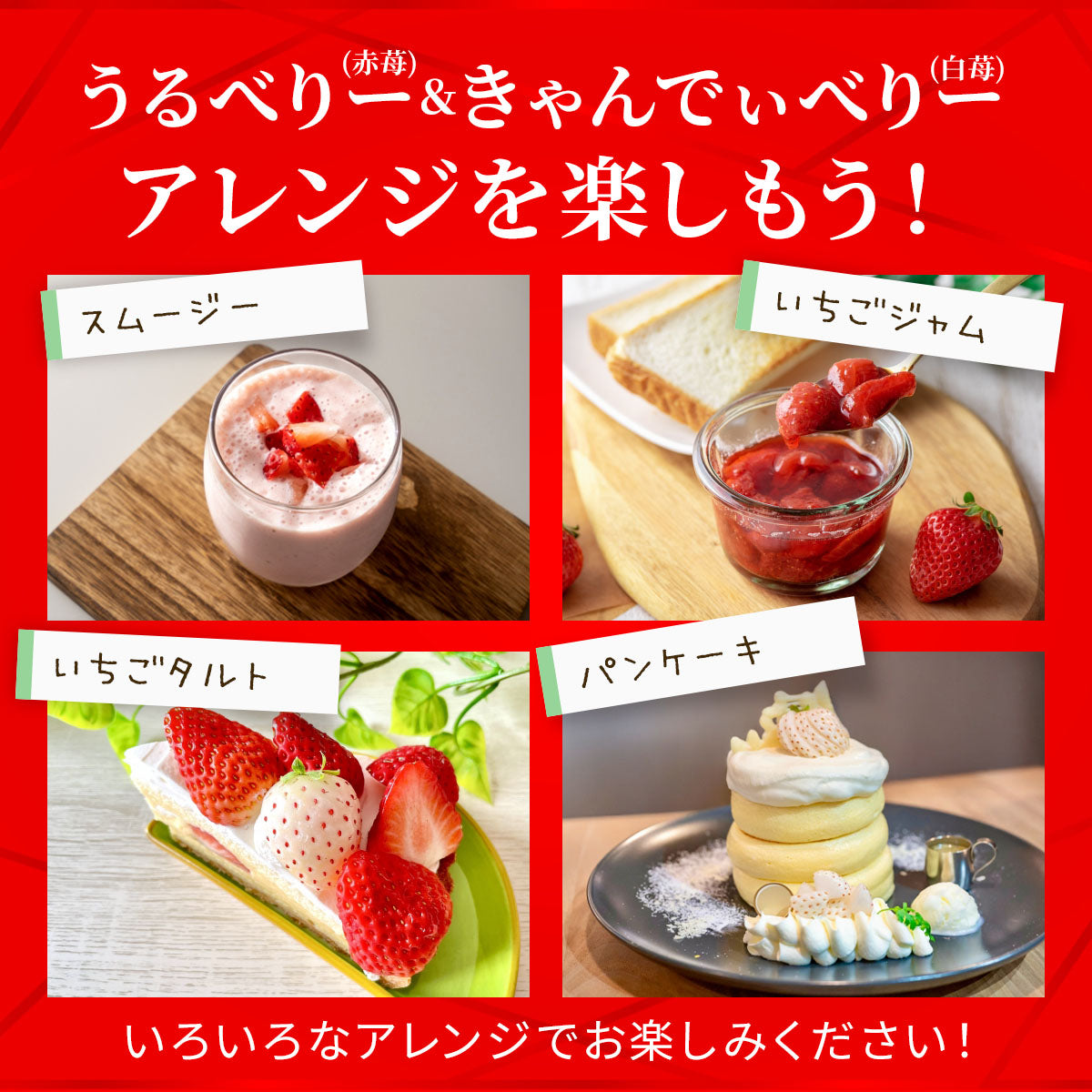 苺たるとページ 予約販売 2026年12月1日～30日 順次発送予定】うるべりー きゃんでぃー
