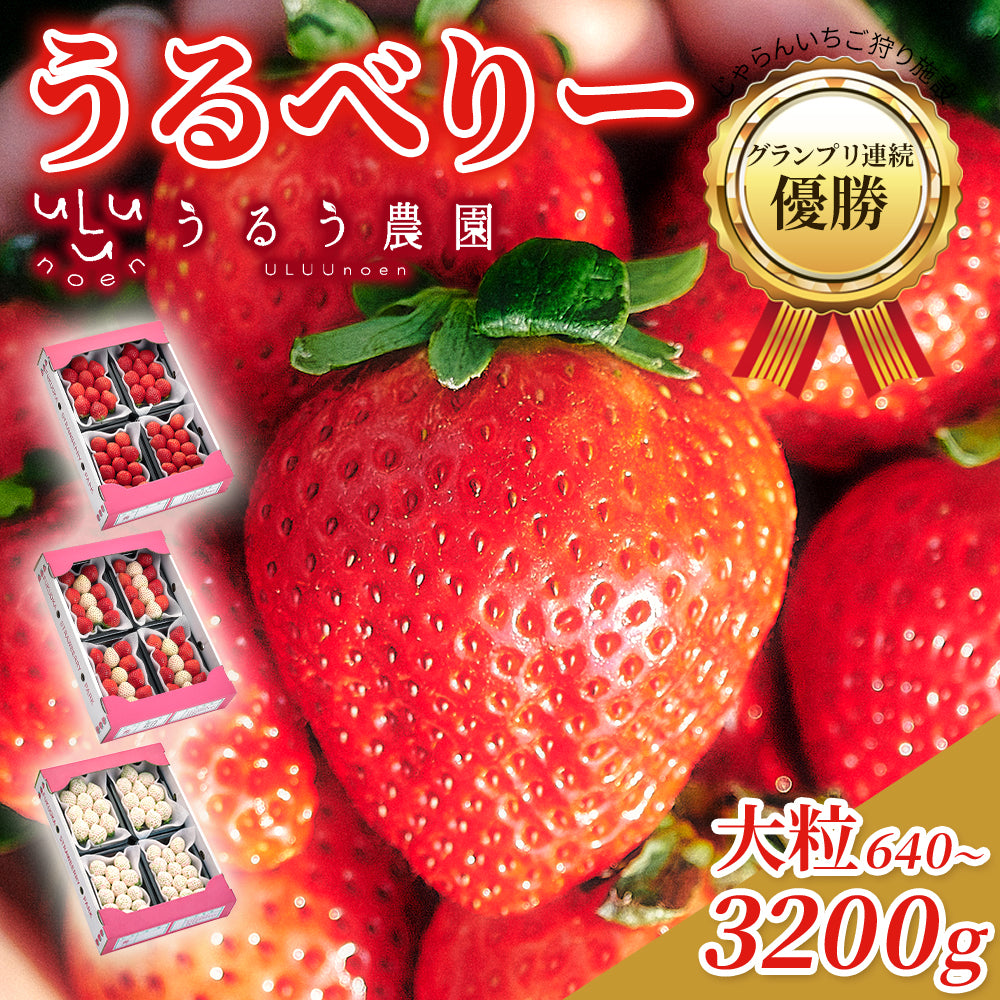 【表示価格より10％引き】うるべりー きゃんでぃーべりーMLサイズ 640g～3200g【送料無料】