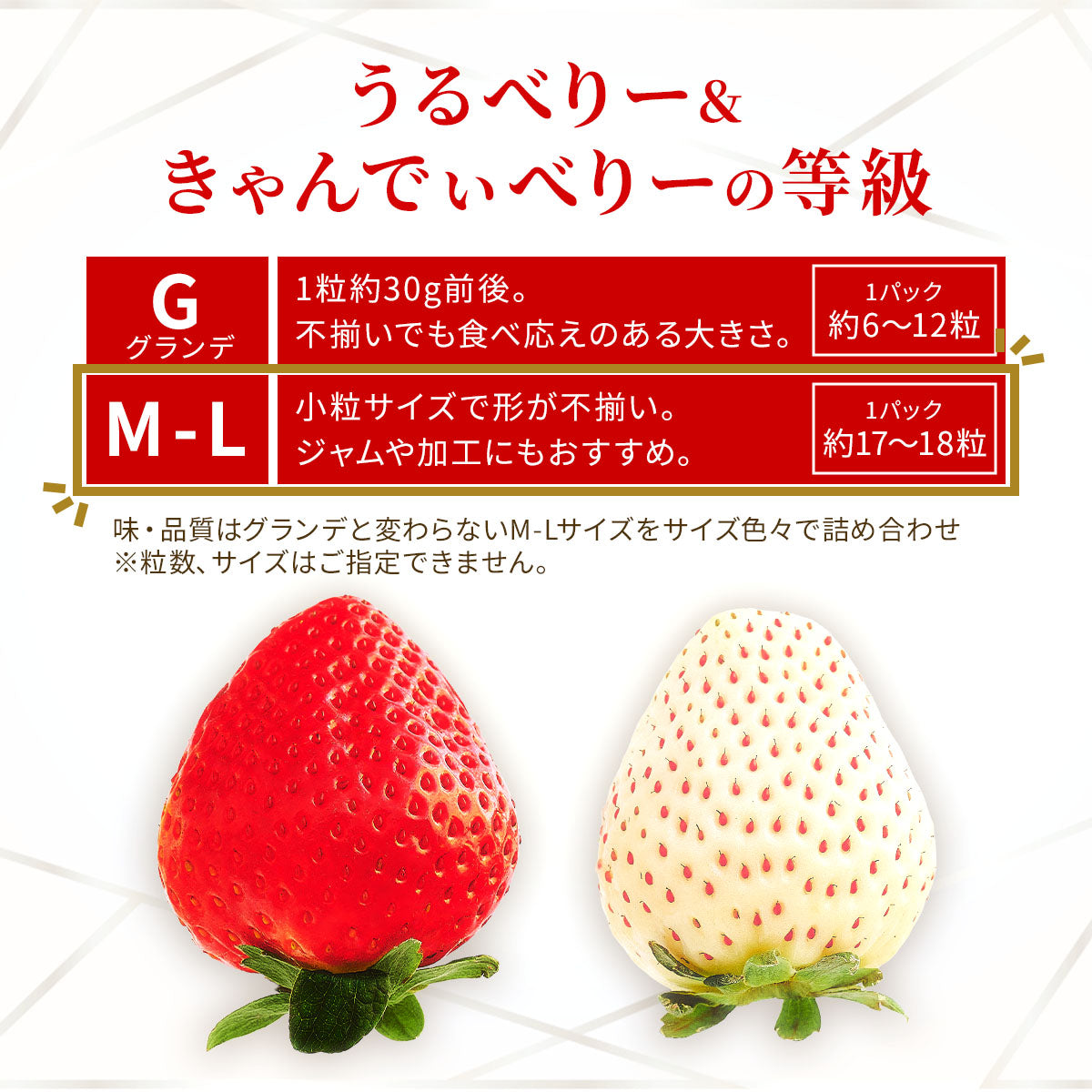 予約販売 2026年12月1日～30日 順次発送予定】うるべりー きゃんでぃー